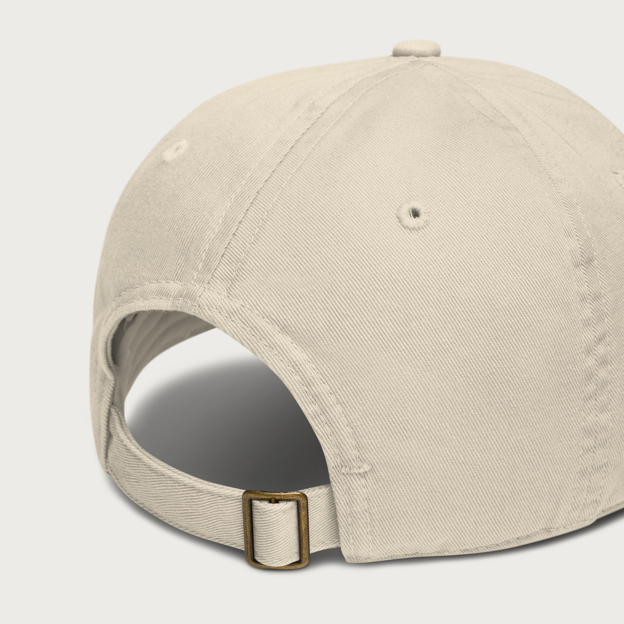 VIII Cap
