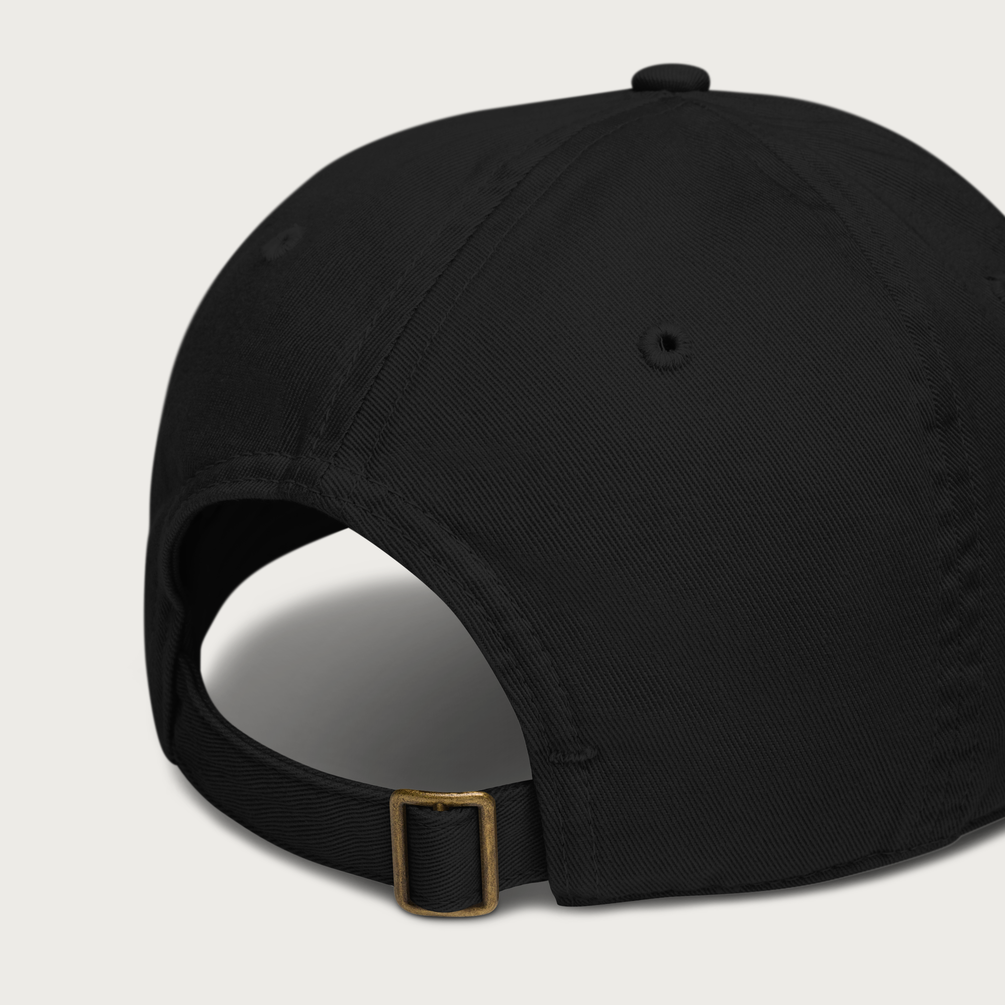 VIII Cap